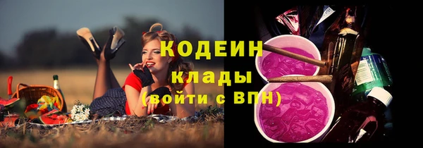 прущая мука Вяземский