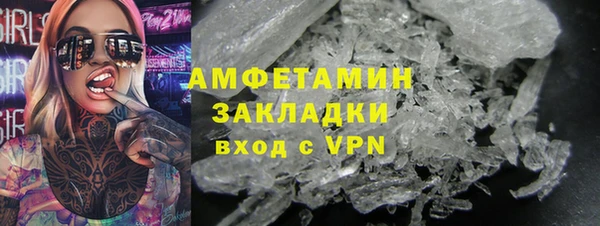 прущая мука Вяземский